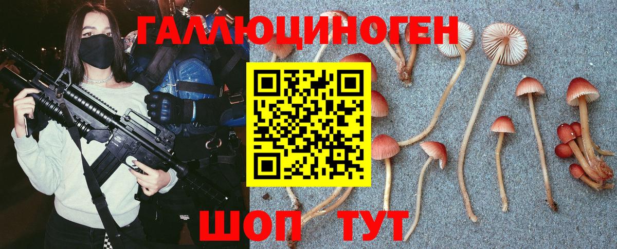 Нальчик  Псилоцибиновые грибы мухоморы  Вход с VPN 